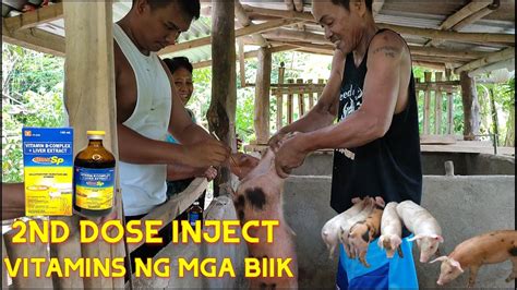PAANO MAG INJECT NG BIIK VITAMINS PARA SA MGA .